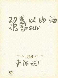 20万以内油电混动suv