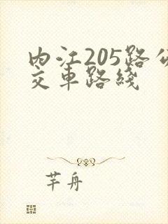 内江205路公交车路线