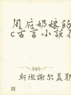 周府奶娘的npc古言小说在哪里看