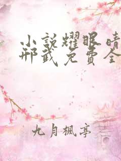 小说耀眼晴也/邢武免费全本阅读