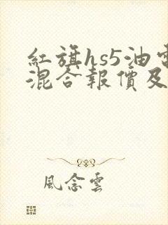 红旗hs5油电混合报价及图片