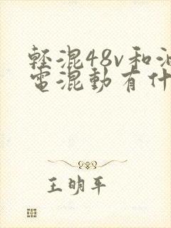 轻混48v和油电混动有什么区别