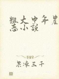 粗大中年农村同志小说
