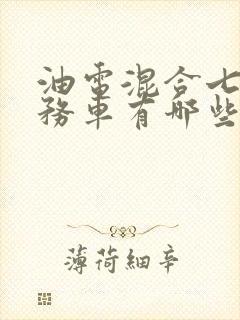 油电混合七座商务车有哪些