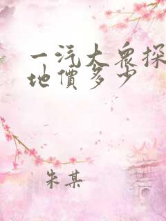 一汽大众探岳落地价多少