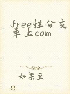 free性公交车上com