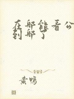 在哪能看公交车到哪了