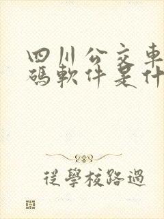 四川公交车乘车码软件是什么
