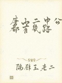 唐山二中公交车都有几路