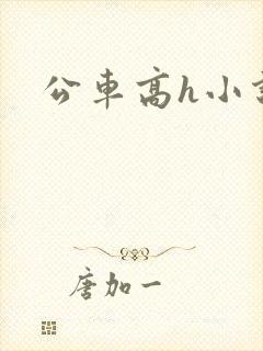 公车高h小说