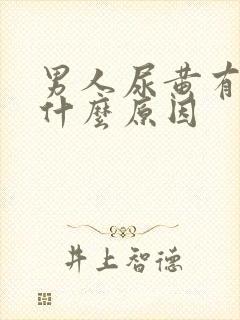 男人尿黄有沫是什么原因