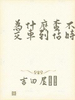 为什么查不到公交车到站时间