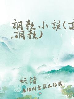 调教小说(高h,调教)