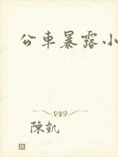 公车暴露小说