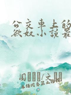 公交车上的调教欲奴小说最新章节更