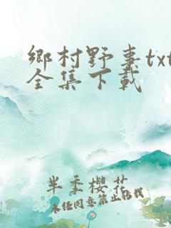 乡村野事txt全集下载