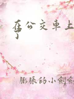 在公交车上被上了