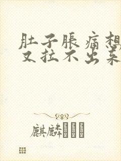 肚子胀痛想拉尿又拉不出来