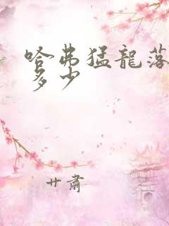 哈弗猛龙落地价多少
