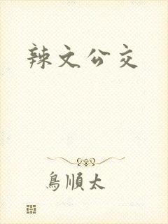 辣文公交