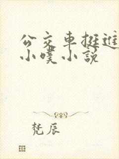 公交车挺进她的小噗小说