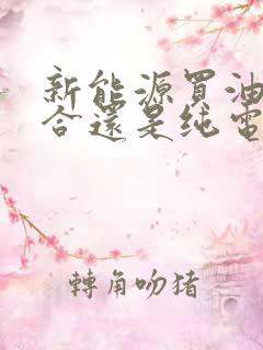 新能源买油电混合还是纯电的