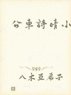 公车诗晴小说