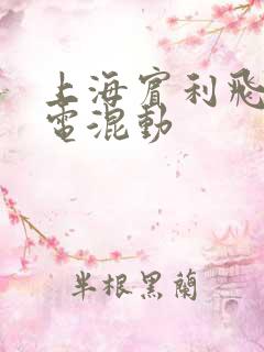 上海宾利飞驰插电混动