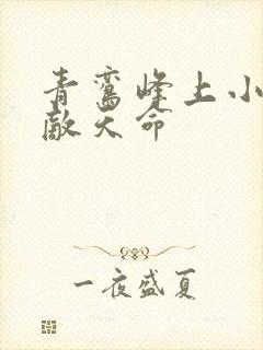 青鸾峰上小说无敌天命