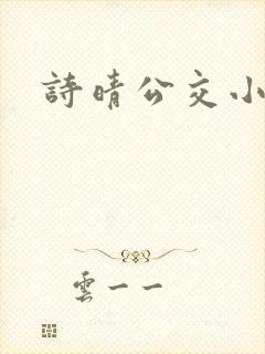 诗晴公交小说