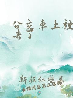 公交车上被插进去了