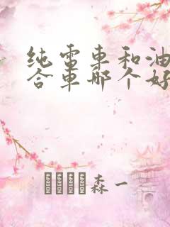 纯电车和油电混合车哪个好