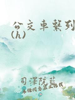 公交车系列小说(h)