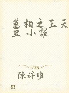 万相之王天蚕土豆 小说