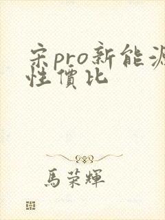 宋pro新能源性价比