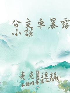 公交车暴露调教小说