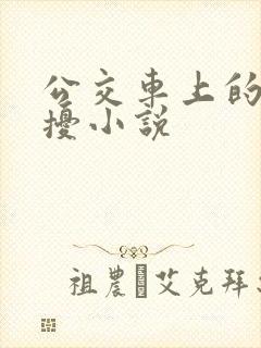 公交车上的性骚扰小说