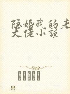 隐婚我的老公是大佬小说