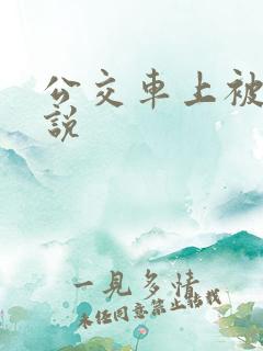 公交车上被插小说