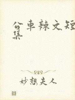 公车辣文短篇合集
