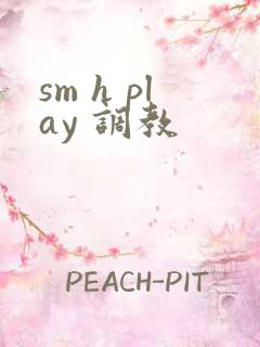 sm h play 调教
