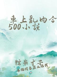 车上乱肉合集乱500小说