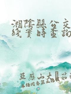 湘阴县公交车路线实时查询
