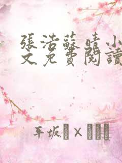 张浩苏晴小说全文免费阅读