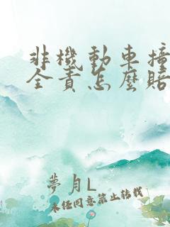 非机动车撞行人全责怎么赔偿