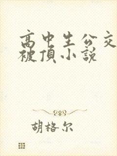 高中生公交车上被顶小说
