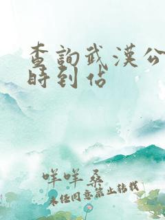 查询武汉公交实时到站