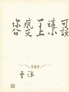 你疯了这可是在公交上小说全文免费阅读