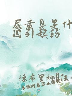 尿黄臭是什么原因引起的