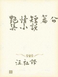 艳情短篇公车合集小说